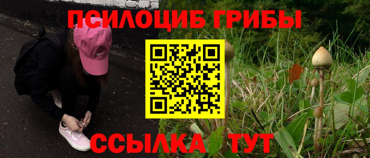 Псилоцибиновые грибы Cubensis  Вход с VPN  закладки  Железноводск 